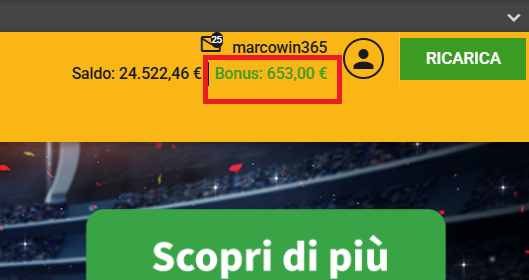 Saldo bonus.png